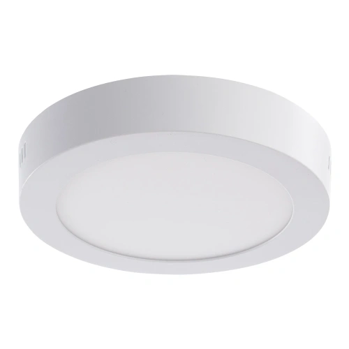 Потолочный светильник Arte Lamp ANGOLO A3012PL-1WH Потолочный светильник Arte Lamp ANGOLO A3012PL-1WH
