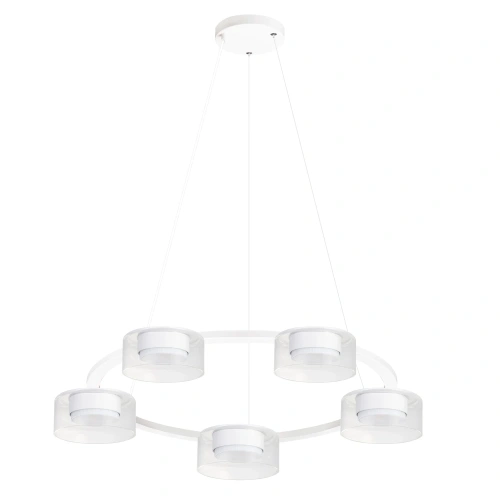 Подвесная люстра Arte Lamp ALIUS A8042SP-5WH Подвесная люстра Arte Lamp ALIUS A8042SP-5WH