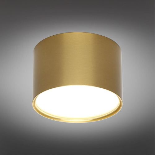 Светильник встраиваемый-накладной OML-103329-06 фото 3