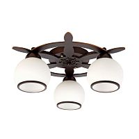 Люстра потолочная OML-50507-03