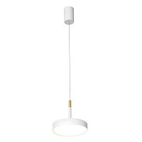 Подвесной светодиодный светильник Favourite Piller 4505-1P