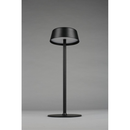 Настольная лампа OML-40504-01 фото 5