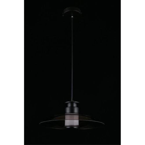 Светильник подвесной APL.648.06.10 фото 11