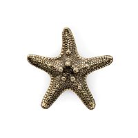 Ручка-кнопка Linckia Polished Brass