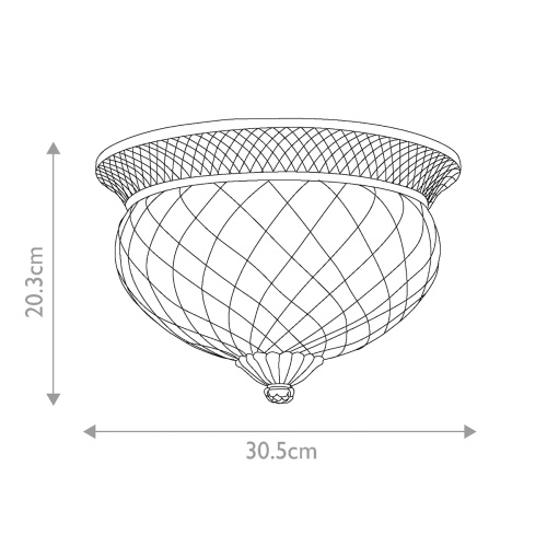 Потолочный светильник Hinkely Lighting, Арт. HK-PLANT-F-S-PL фото 2