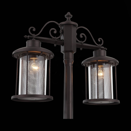 SL080.425.02 Светильник уличный наземный ST-Luce Темный кофе/Прозрачный, Темный кофе E27 2*100W LASTERO фото 8