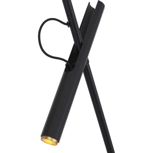 SL6210.403.02 Светильник подвесной ST-Luce Черный/Черный, Золотистый LED 2*3W 3000K LILT фото 4