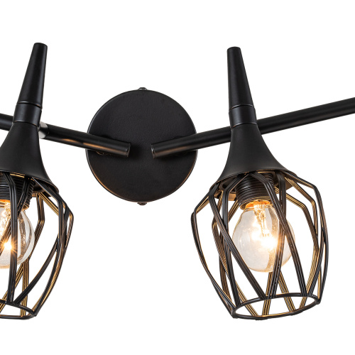 Настенно-потолочный свет Escada 1120/4A E14*40W Black фото 4
