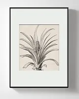 Интерьерный постер “Pineapple”