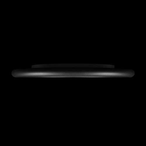 10454/500 Black Потолочный светильник LOFT IT Sweety фото 4 10454/500 Black Потолочный светильник LOFT IT Sweety фото 4