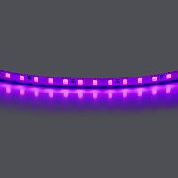 420518 Лента LIGHTSTAR LED 24V 12W 120leds/M 1600 LM/M фиолетовый IP20 1шт = 5м