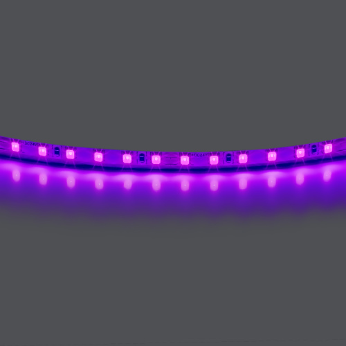 420518 Лента LIGHTSTAR LED 24V 12W 120leds/M 1600 LM/M фиолетовый IP20 1шт = 5м