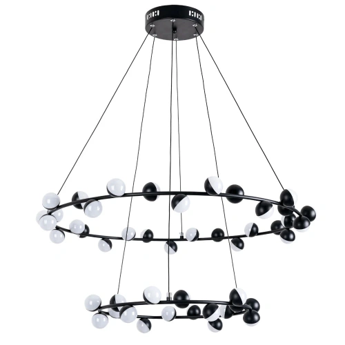 Подвесная люстра Arte Lamp DEXTER A3619SP-48BK Подвесная люстра Arte Lamp DEXTER A3619SP-48BK
