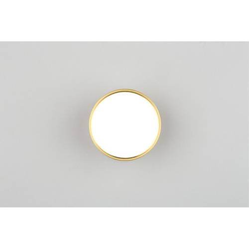 Светильник встраиваемый-накладной OML-103329-06 фото 5