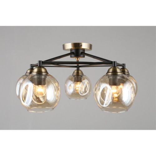 Люстра потолочная OML-93507-05 фото 4 Люстра потолочная OML-93507-05 фото 4