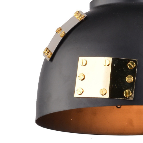 Подвесной светильник Arte Lamp EURICA A6024SP-1BK фото 3 Подвесной светильник Arte Lamp EURICA A6024SP-1BK фото 3
