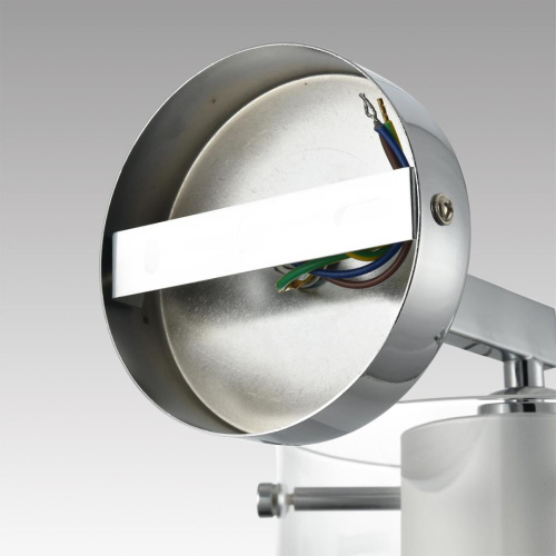 Бра Lumion VERDI 8261/1W фото 2 Бра Lumion VERDI 8261/1W фото 2