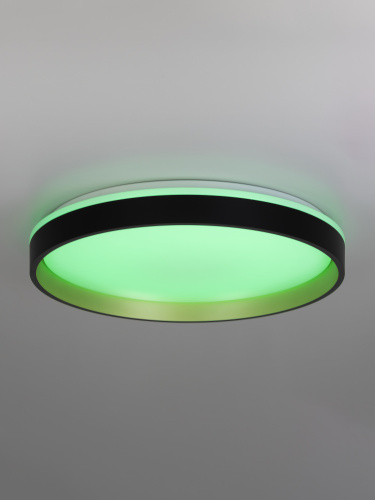 Citilux ENZO CL753451G LED RGB Светильник с пультом Черный + Золото фото 8 Citilux ENZO CL753451G LED RGB Светильник с пультом Черный + Золото фото 8