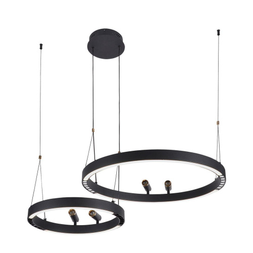 Подвесная светодиодная люстра F-Promo Slinga 4474-2P Подвесная светодиодная люстра F-Promo Slinga 4474-2P