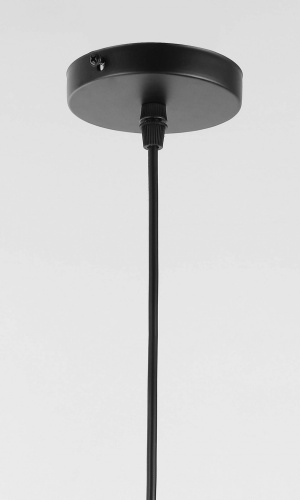 Подвесной светильник Lampit TP 2022-1 BK фото 4