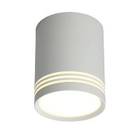 Светильник встраиваемый-накладной OML-100109-12