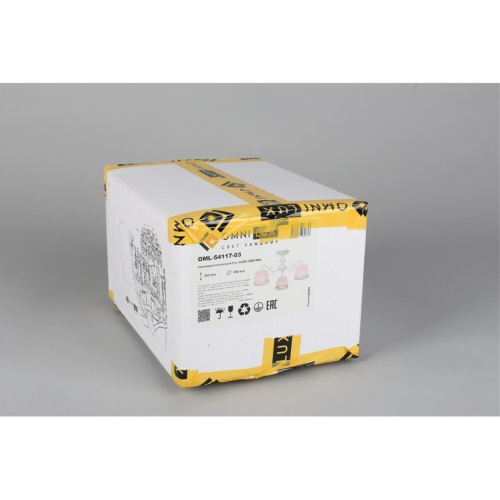 Люстра потолочная OML-54117-03 фото 2 Люстра потолочная OML-54117-03 фото 2