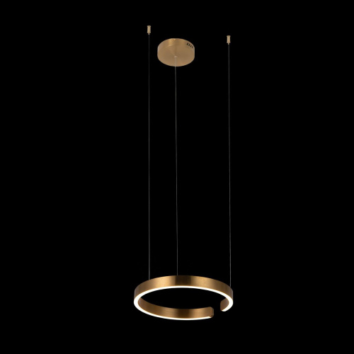 10013S Подвесной светильник LOFT IT Ring фото 3