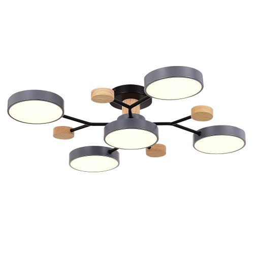 SLE6006-702-05 Светильник потолочный Серый/Серый LED 5*12W 3000K/4500K/6000K FAEMA фото 7