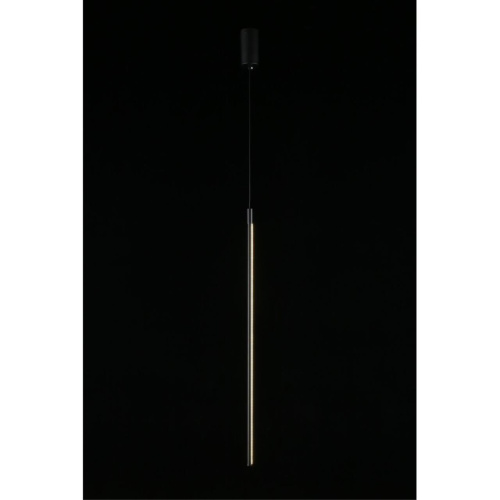 Светильник подвесной APL.0124.06.15 фото 12 Светильник подвесной APL.0124.06.15 фото 12