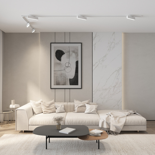 DK6440-WH Трековый светильник IP 20, 10 Вт, LED 4000, белый, алюминий фото 2