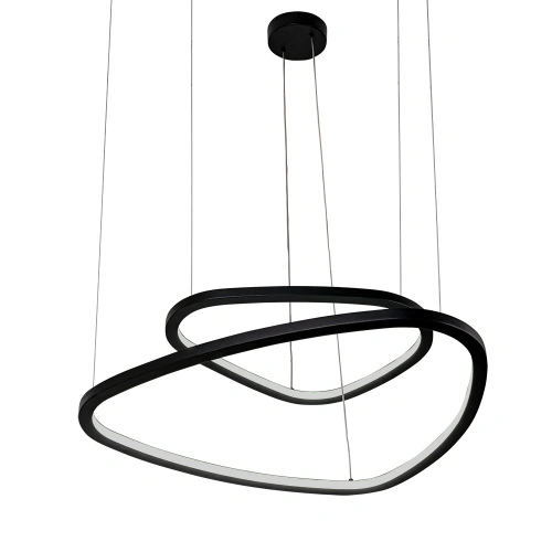 Подвесная люстра Arte Lamp MADISON A2194SP-2BK Подвесная люстра Arte Lamp MADISON A2194SP-2BK