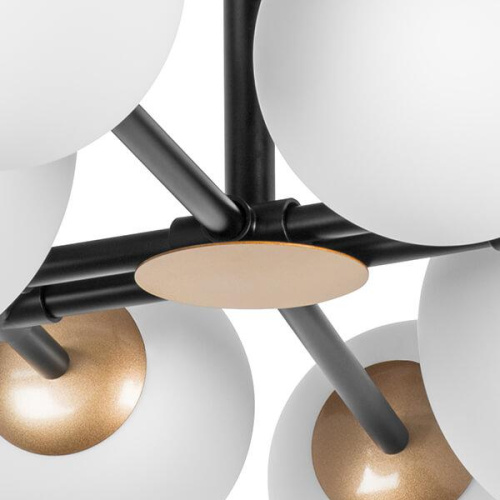 Подвесная люстра Lightstar Croco 815480 фото 4 Подвесная люстра Lightstar Croco 815480 фото 4