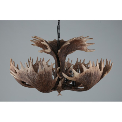 Люстра подвесная OML-52203-12 фото 7 Люстра подвесная OML-52203-12 фото 7