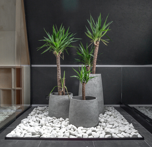 Кашпо CONE NERO фото 2 Кашпо CONE NERO фото 2