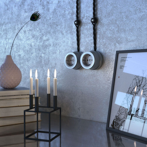 Розетка с заземлением матовый хром ретро WL19-10-01 фото 3