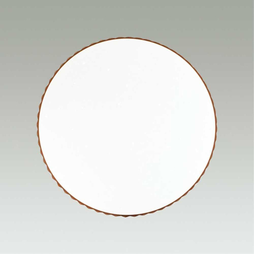 Настенно-потолочный светодиодный светильник Sonex Pale Dina amber 2078/EL фото 4 Настенно-потолочный светодиодный светильник Sonex Pale Dina amber 2078/EL фото 4