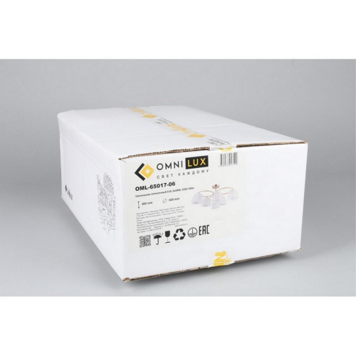 Люстра потолочная OML-65017-06 фото 12 Люстра потолочная OML-65017-06 фото 12