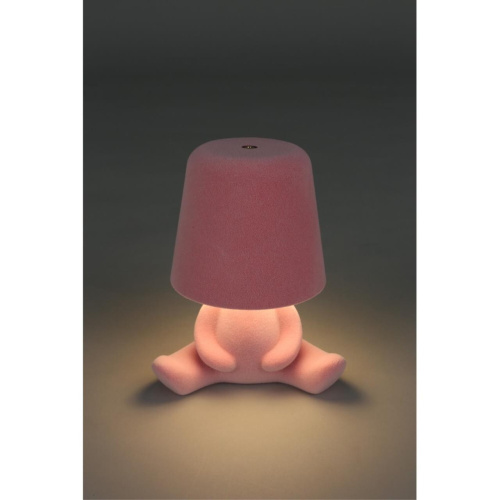 Настольная лампа APL.677.14.01 фото 9