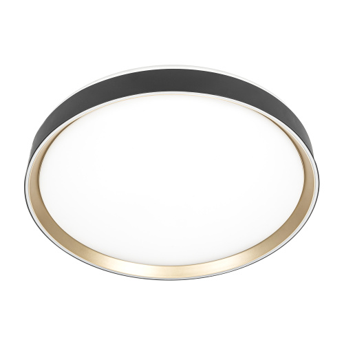 Citilux BOSS CL751451G LED RGB Светильник с пультом Чёрный с Золотом фото 2 Citilux BOSS CL751451G LED RGB Светильник с пультом Чёрный с Золотом фото 2