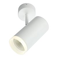 Светильник настенно-потолочный OML-102609-20