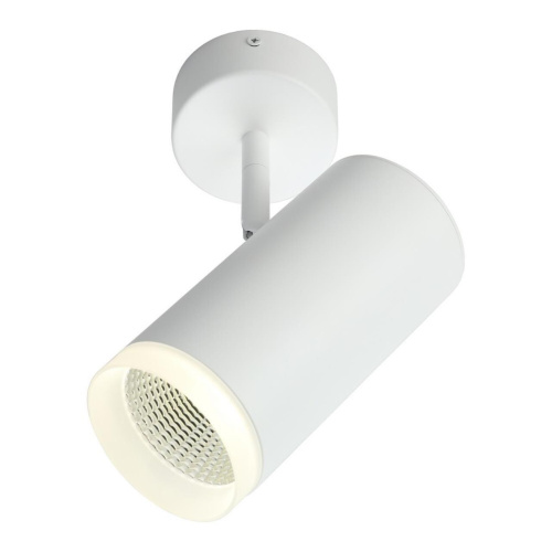 Светильник настенно-потолочный OML-102609-20 Светильник настенно-потолочный OML-102609-20