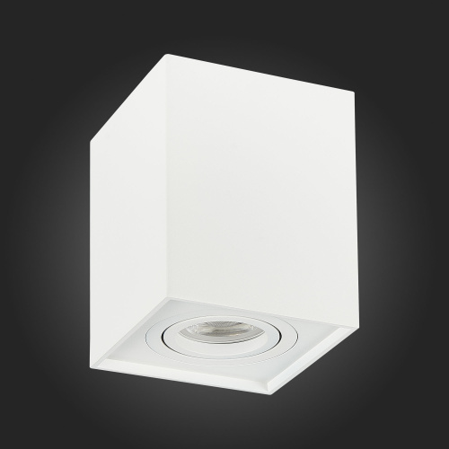 ST109.507.01 Светильник потолочный Белый GU10 1*50W  L100xW100xH123 220V Без ламп Накладные светильники фото 3