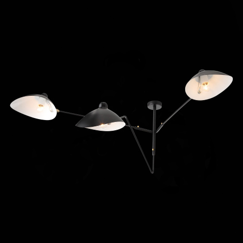 SL305.402.03 Люстра потолочная ST-Luce Черный/Черный, Белый E27 3*60W SPRUZZO фото 9 SL305.402.03 Люстра потолочная ST-Luce Черный/Черный, Белый E27 3*60W SPRUZZO фото 9