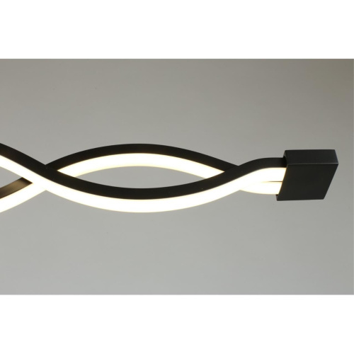 Светильник настенно-потолочный APL.002.12.36 фото 4