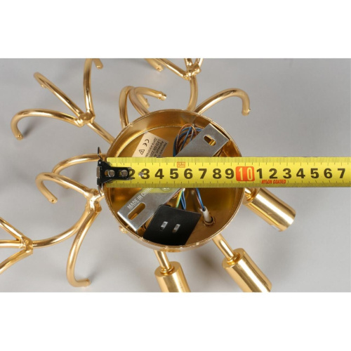 Светильник настенный (Бра) APL.850.01.03 фото 9 Светильник настенный (Бра) APL.850.01.03 фото 9