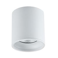 ST165.532.12 Светильник потолочный Белый LED 1*12W 3000K 840Lm Ra>90 36° IP44 D80xH85 85-265V Накладные светильники