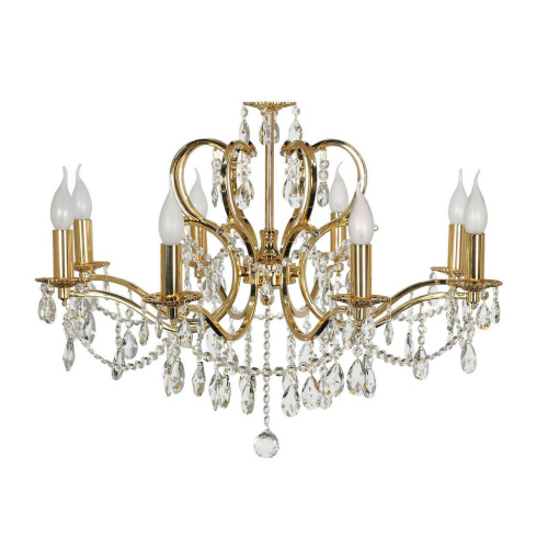 Подвесная люстра Arti Lampadari Pisani E 1.1.8.601 G фото 3 Подвесная люстра Arti Lampadari Pisani E 1.1.8.601 G фото 3
