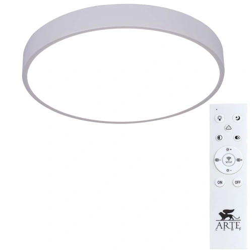 Потолочный светильник Arte Lamp ARENA A2661PL-1WH фото 2 Потолочный светильник Arte Lamp ARENA A2661PL-1WH фото 2