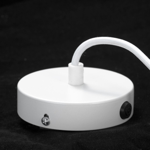 Подвесной светильник Lussole Loft Cuscino GRLSP-8361 фото 4