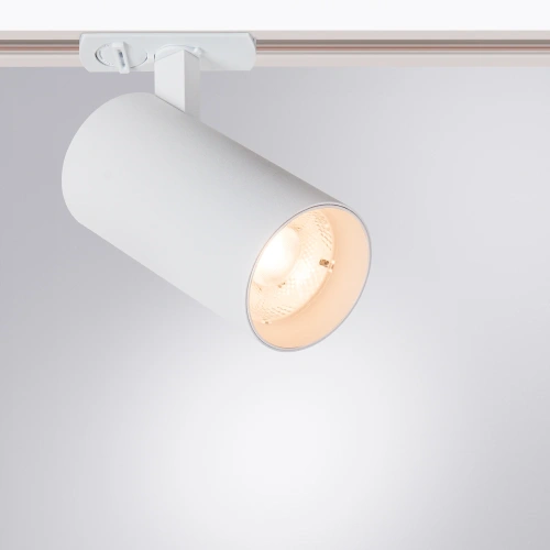 Трековый светильник Arte Lamp BENE A1937PL-1WH фото 2 Трековый светильник Arte Lamp BENE A1937PL-1WH фото 2